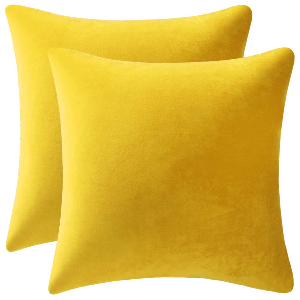 Dezene Couch Pillow Covers 22X22 Yellow: 2 Pack Cozy Soft Velvet Square Throw Pillow Cases For Farmhouse Home Decor